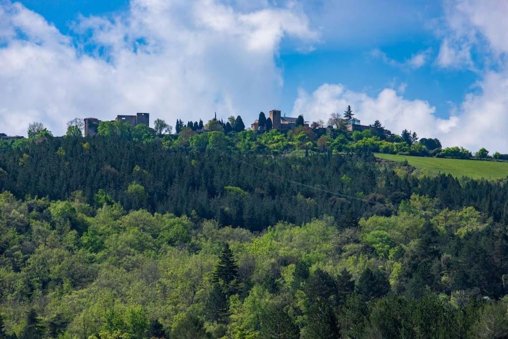 Villa Blanche, Contemporary, Cathars, Couiza, Carcassonne Екстериор снимка
